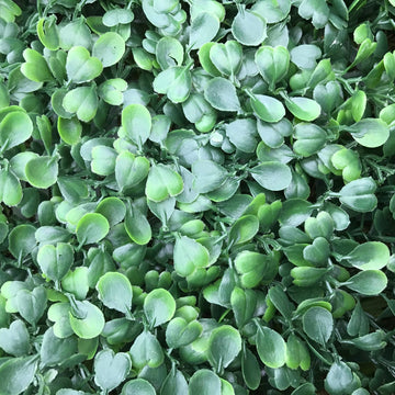 Artificial Flame Resistant Boxwood Hedging Panel 50x50cm