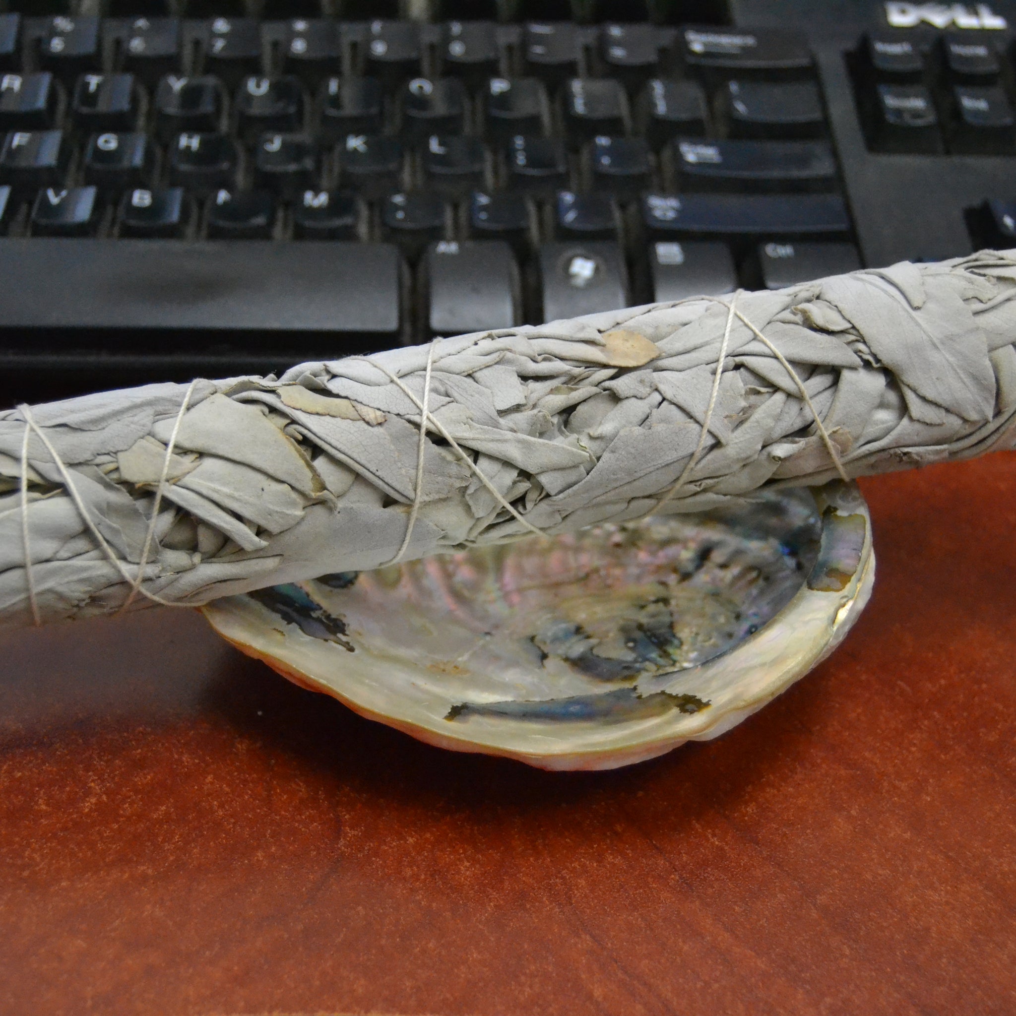 White Sage Bundles with Abalone Shell Smudge Kit