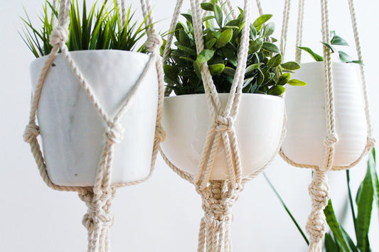 Macrame Plant Hanger, Hanging Planter, Indoor,