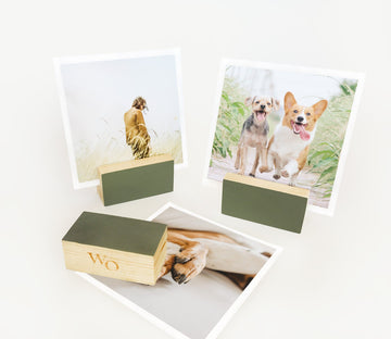 Green Ombre Block Card Holder